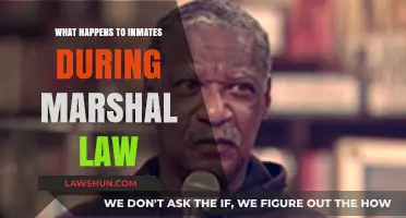 Inmate Rights and Safety During Martial Law: What to Expect