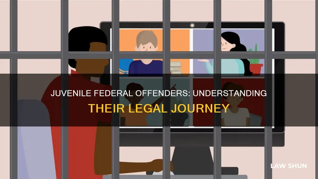 what happens to juveniles who break federal law