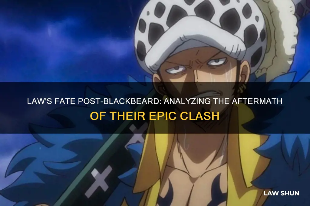 what happens to law after his fight with blackbeard