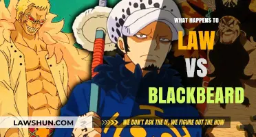 Law vs. Blackbeard: The Epic Clash and Its Aftermath Explained