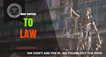 The Evolution of Law: Adapting to Society's Changing Needs and Challenges