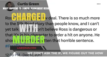 Murder Charges for Green Card Holders: Legal Consequences and Immigration Impact