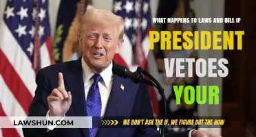 Presidential Veto Power: Fate of Laws and Bills Explained