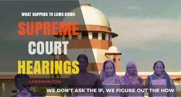 Supreme Court Hearings: The Fate of Laws Under Scrutiny