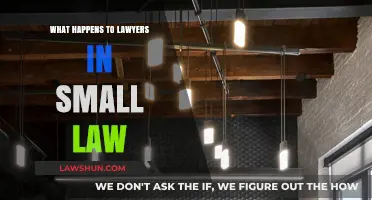 Small Law Realities: Challenges and Opportunities for Lawyers in Boutique Firms