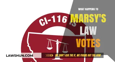 Marsy's Law Votes: Impact, Outcomes, and Future Implications Explained