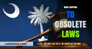 Obsolete Laws: Their Fate, Impact, and Path to Repeal
