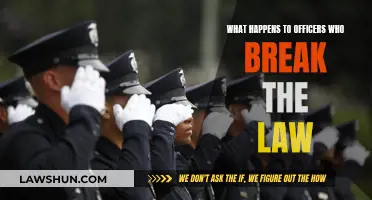 Officers Who Break the Law: Impunity or Punishment?