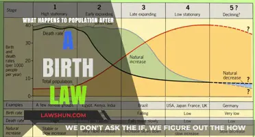 Post-Birth Law Population Shifts: Trends, Impacts, and Societal Changes