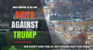 Trump's Legal Battles: The Fate of Pending Lawsuits Explained