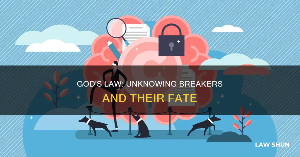 what happens to those who unknowingly break god