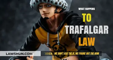 Trafalgar Law's Fate: Unraveling His Journey in One Piece