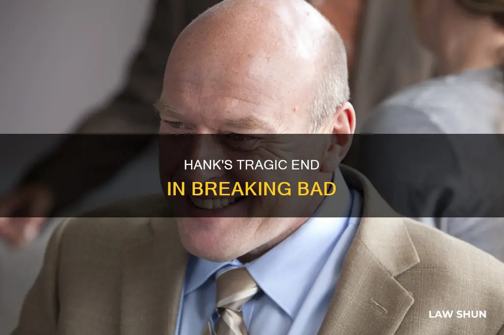 what happens to walt