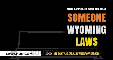 Wyoming's Anti-Bullying Laws: Consequences for Bullies and Legal Protections