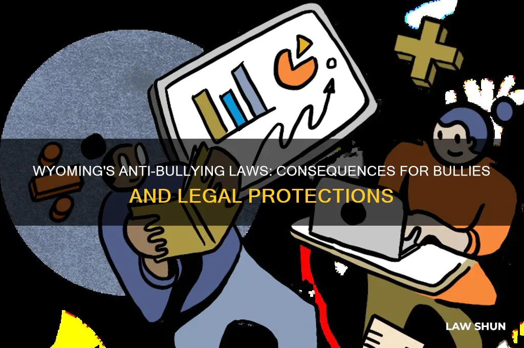 what happens to you if you bully someone wyoming laws