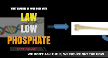 Low Phosphate Levels: Understanding the Impact on Your Body's Health