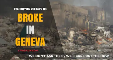 Breaking Laws in Geneva: Consequences and Legal Procedures Explained