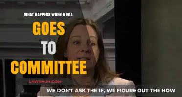 Understanding the Committee Review Process: What Happens to a Bill Next?