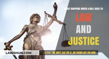 From Bill to Law: The Role of Justice in Legislation
