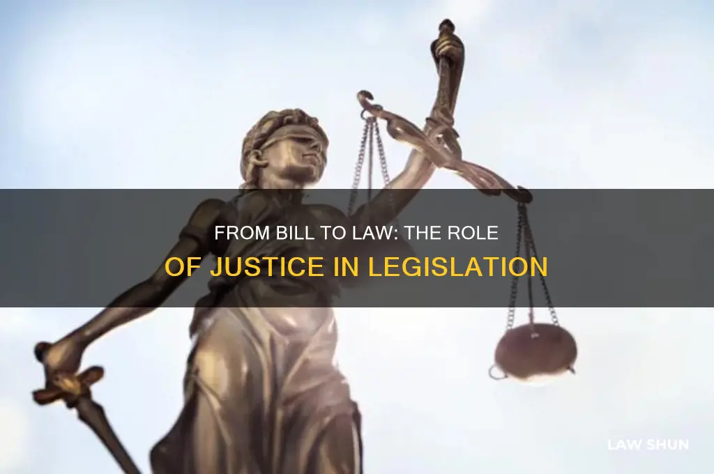 what happens when a bill goes to law and justice