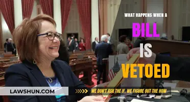 Vetoed Bills: Understanding the Consequences and Next Steps in Legislation
