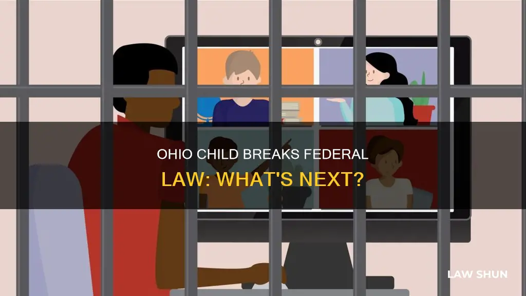 what happens when a child breaks federal law ohio