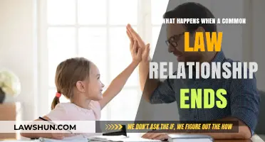 Understanding the Legalities of Ending Common Law Relationships