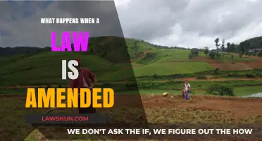 Understanding the Impact: How Amending Laws Shapes Society and Governance