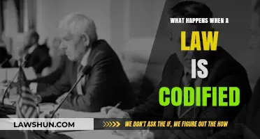 Codifying Laws: Understanding the Process and Its Legal Implications