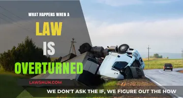 Overturning Laws: Consequences, Impact, and Societal Changes Explained