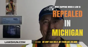 Understanding the Impact of Repealed Laws in Michigan: A Comprehensive Guide