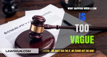 When Laws Lack Clarity: Consequences of Vague Legislation Explored