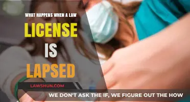 Lapsed Law License: What Are the Consequences?