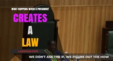 How Presidents Influence Lawmaking