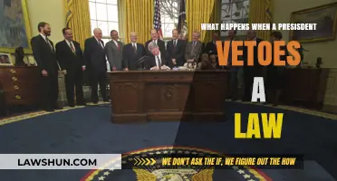 Presidential Veto Power: How It Blocks Laws and Shapes Policy