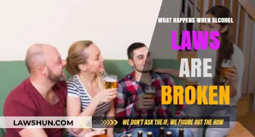 Consequences of Breaking Alcohol Laws: Penalties, Fines, and Legal Ramifications