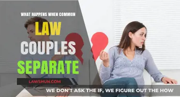 Understanding Separation: Common-Law Couples and Property Division