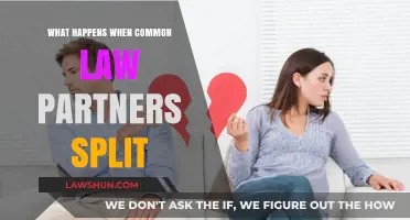 Unraveling Common Law Marriage: When Partners Split