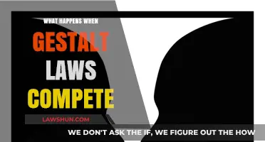 When Gestalt Laws Clash: Unraveling the Visual Perception Dilemma