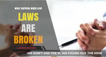 Consequences of Breaking Love Laws: Chaos, Heartbreak, and Legal Ramifications
