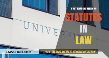 Legal Limbo: Consequences of Operating Without Statutes in Law