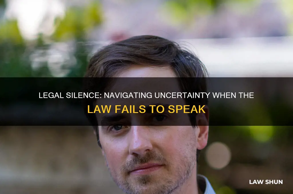 what happens when the law is silent on an issue