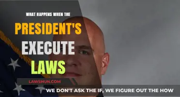 Presidential Power in Action: Understanding Executive Law Enforcement