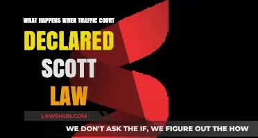 Traffic Court Declares Scott Law: Understanding the Legal Implications