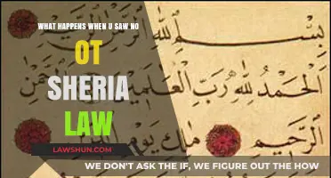 Understanding Sharia Law: Misconceptions, Realities, and Societal Impacts Explained