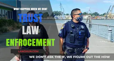 Eroding Trust in Law Enforcement: Consequences for Communities and Justice