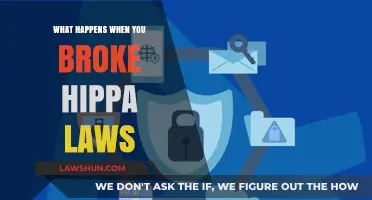 Breaking HIPAA Laws: Consequences, Penalties, and Legal Ramifications Explained