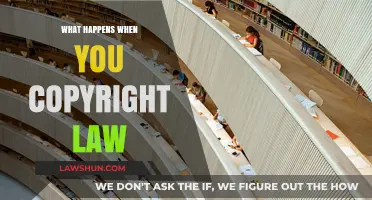 Understanding Copyright Law: Consequences and Protections for Creators and Users