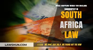 Declaring Bankruptcy in South Africa: Legal Consequences and Fresh Starts