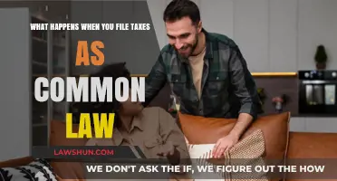Understanding Common-Law Tax Filing: Benefits and Implications